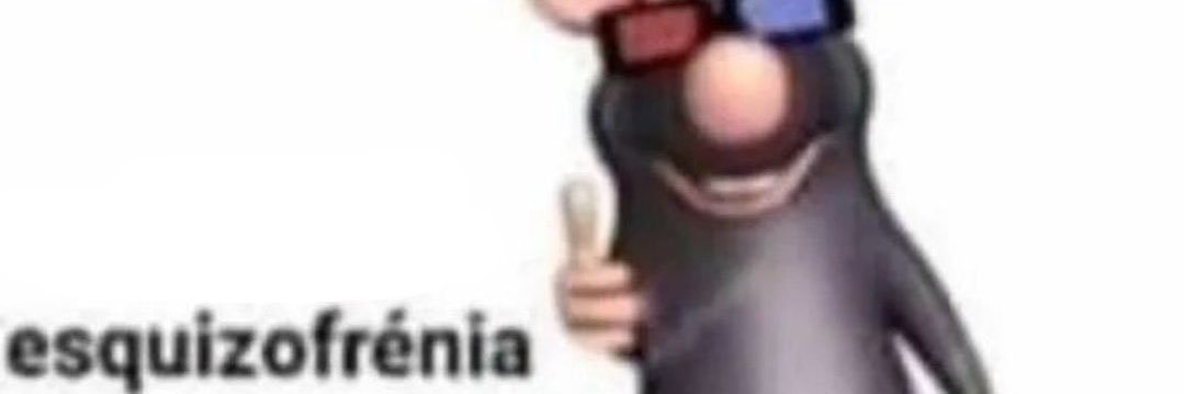sofiguaimass2's profile banner image