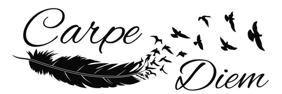 _taipada's profile banner image