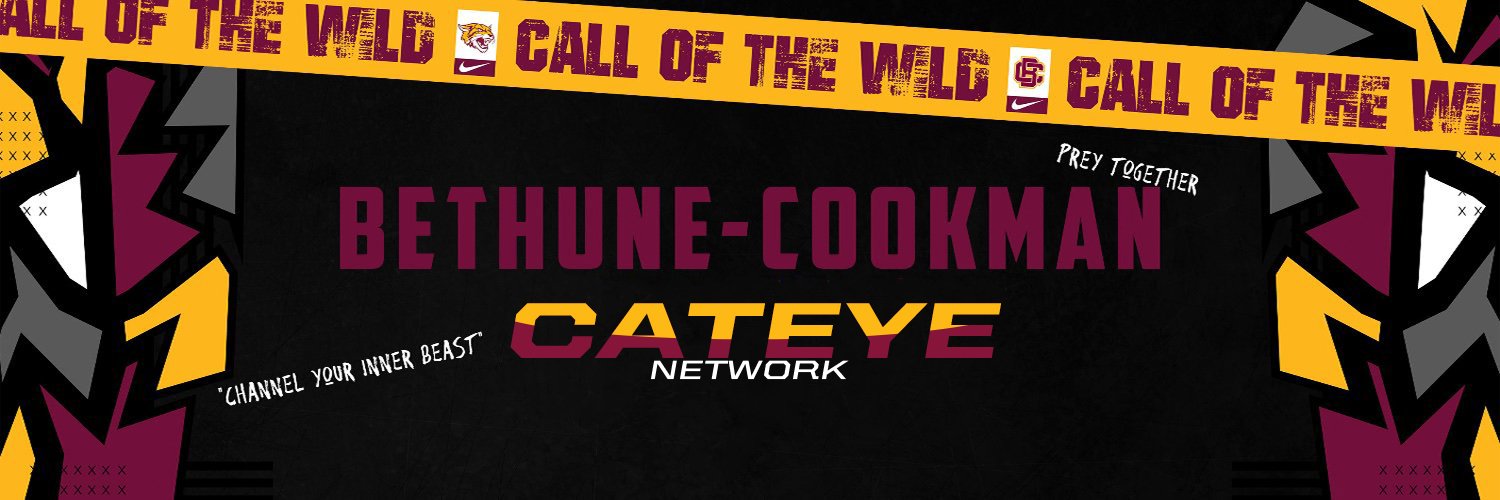 The CatEye Network banner