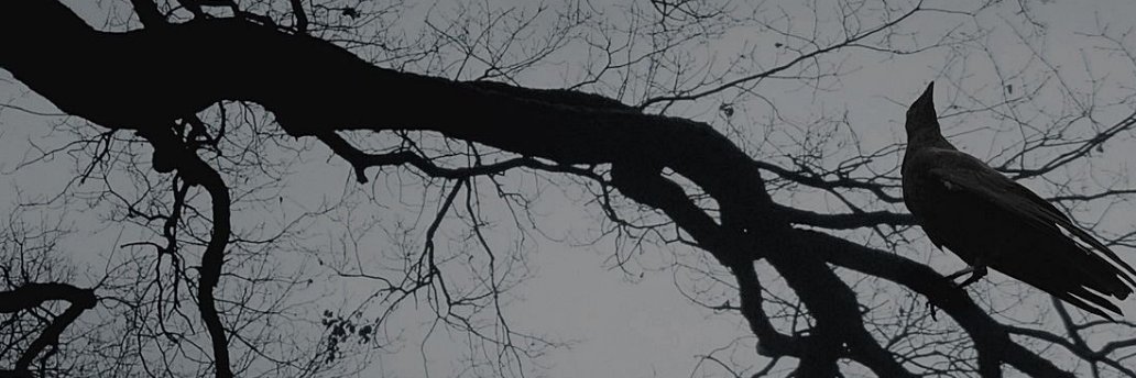 RXylocope's profile banner image
