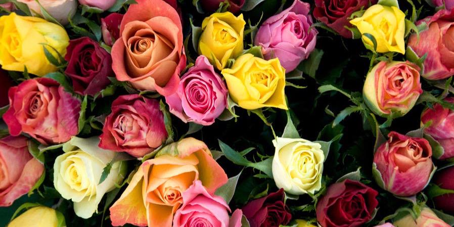 s_2748's profile banner image
