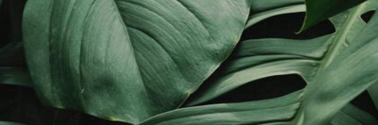 Ingridkrin's profile banner image