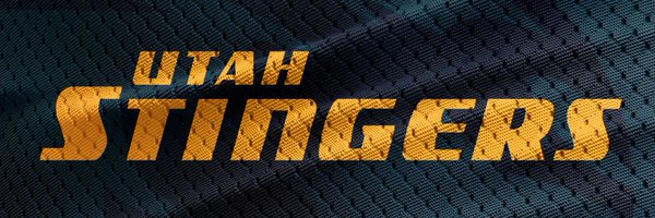 StingersUtah Profile Banner