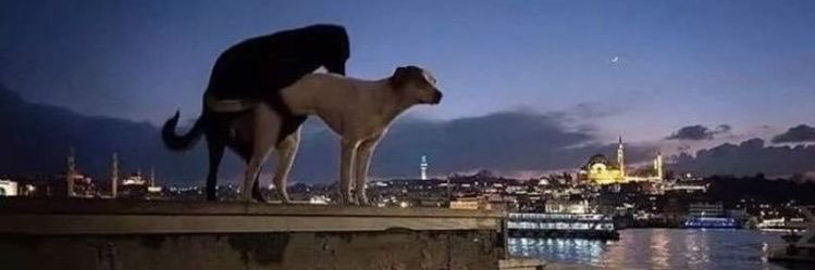 jeffymathew_'s profile banner image