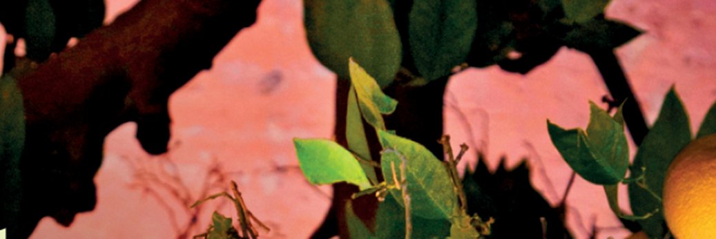 TanjaPaar's profile banner image