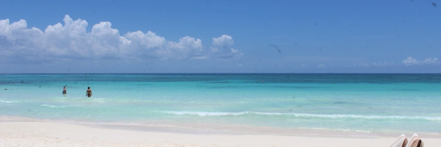 lfacosta's profile banner image