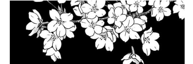 gonpachirro's profile banner image