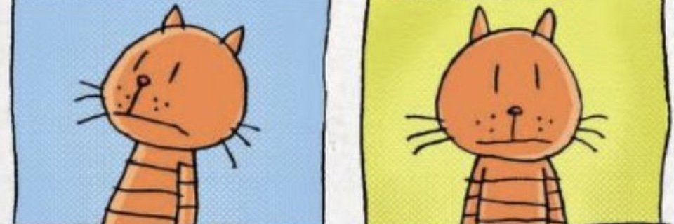 Vii | Kester's favorite 🍉 banner