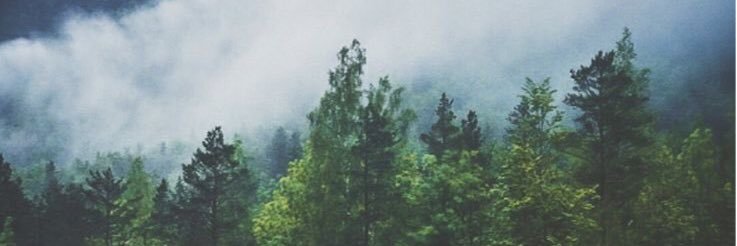 أسماء banner