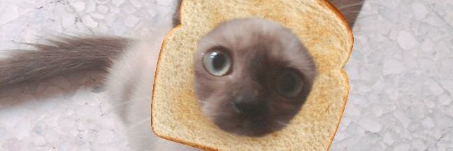 Dimiee_'s profile banner image