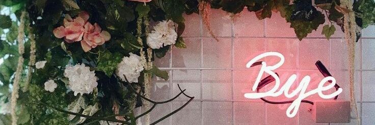 tiaradps's profile banner image