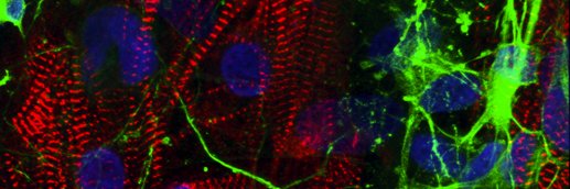 Katrin Streckfuss-Bömeke banner