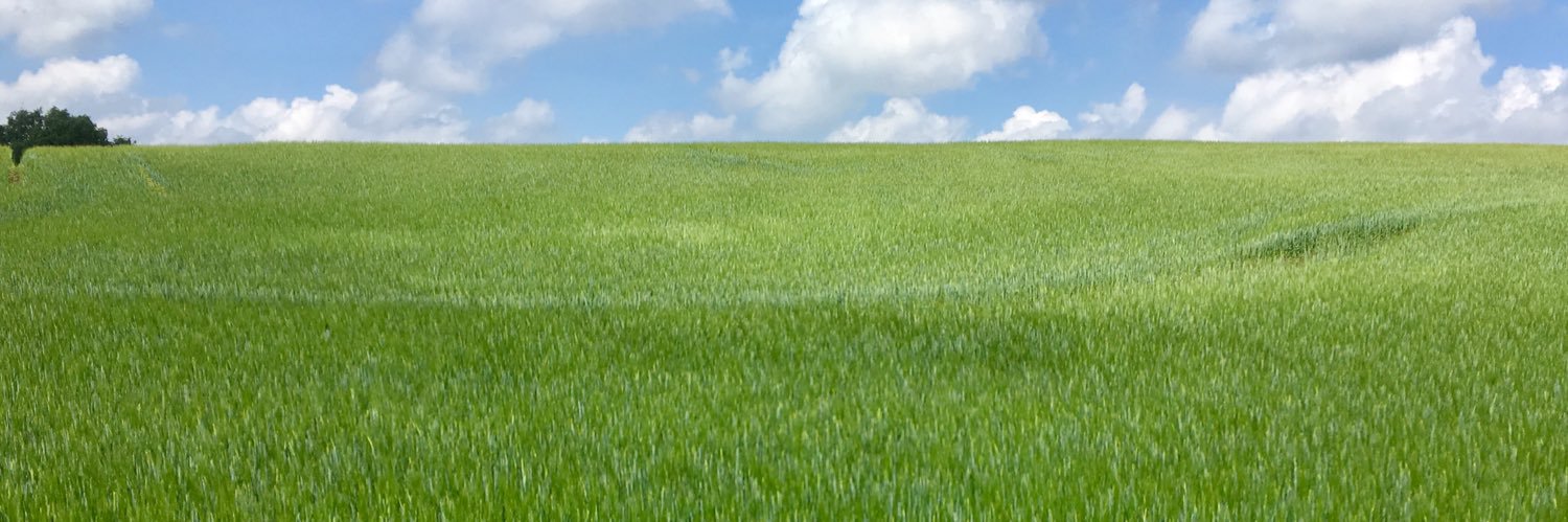 syokonsulent's profile banner image