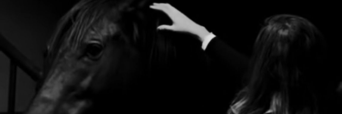 Sooma_D1's profile banner image