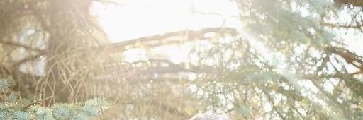 MsMinnesotaUSA's profile banner image