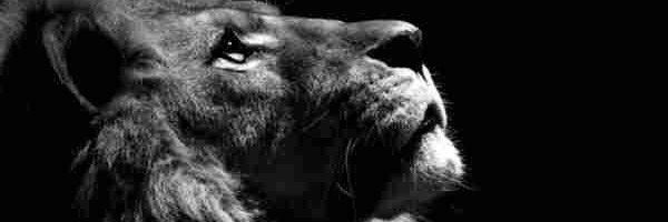 TAMIR10's profile banner image