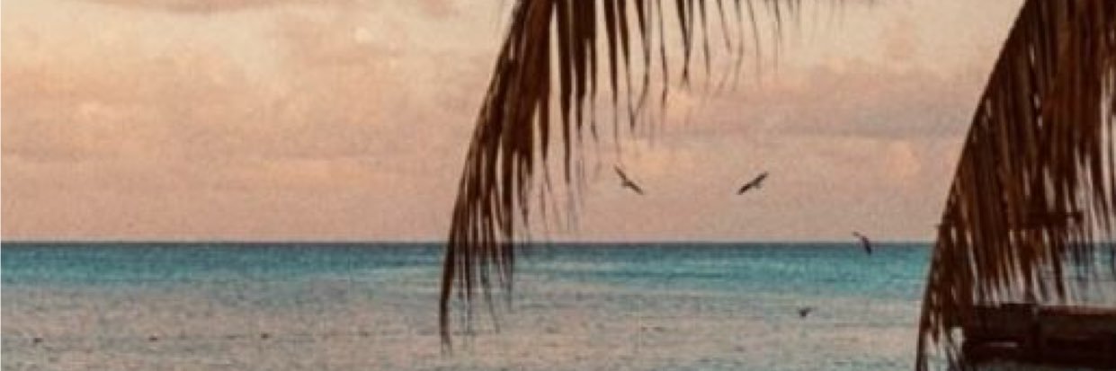 _maariexo's profile banner image