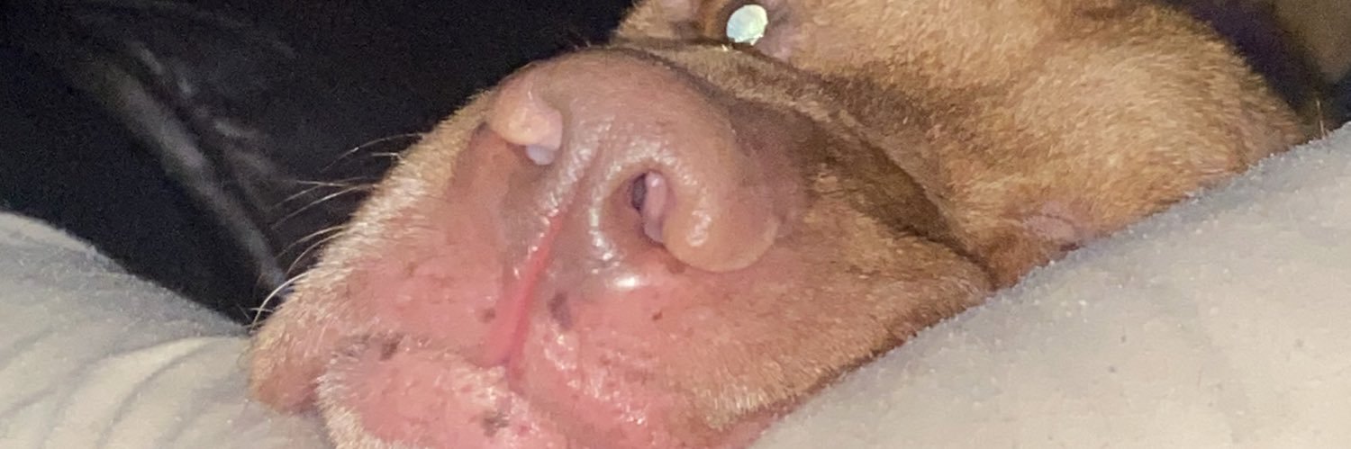AnthonyGarbers's profile banner image