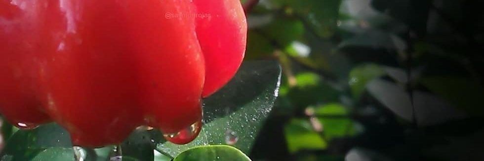 Arthur Elí Mendez banner