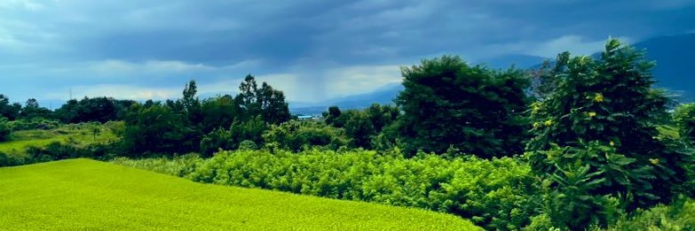 ToMu_1234's profile banner image