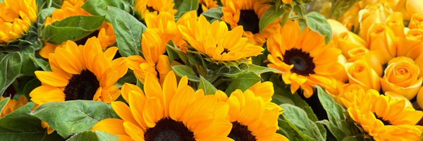 RocioCastro97 Profile Banner