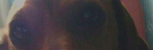 Lorena Mosqueda H. banner