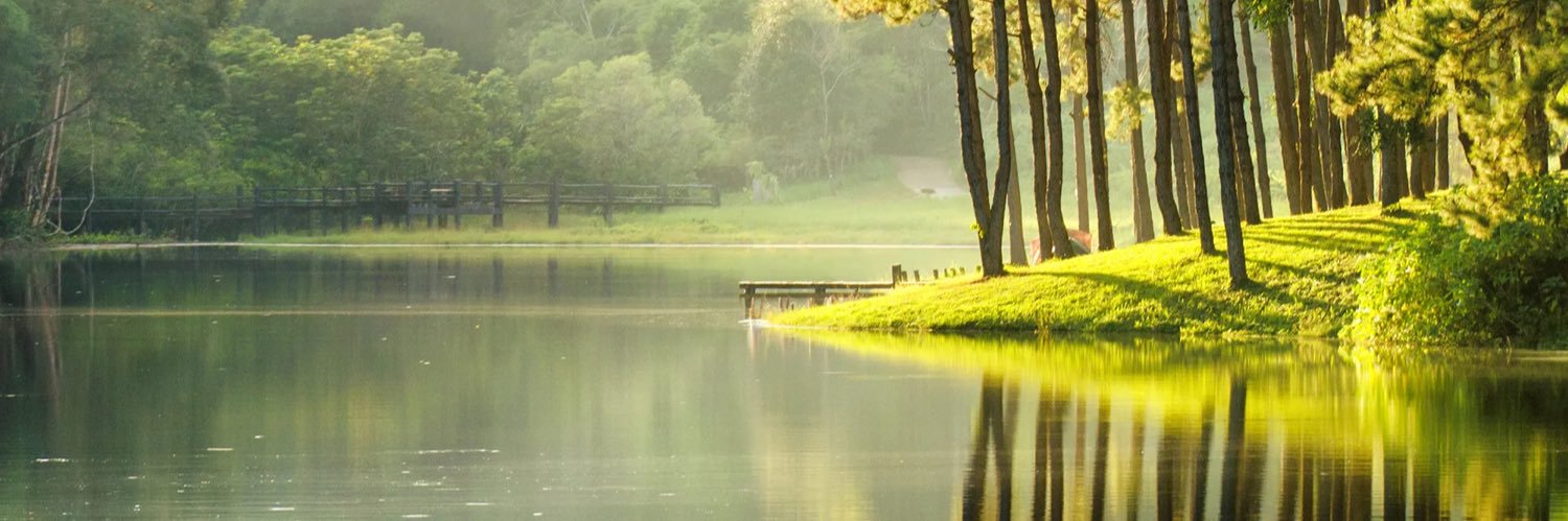 Adel_Alii's profile banner image