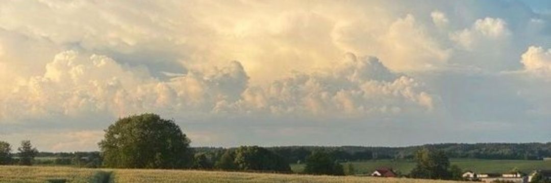 Ace Egg 🔞💟💋 (COMMS OPEN 4/4) banner