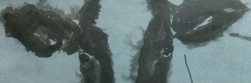 mirabelletook's profile banner image