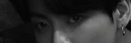 เสือ banner