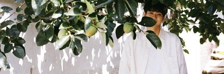 choiwoossik's profile banner image