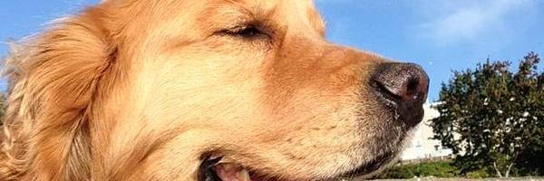 HotchEsary's profile banner image