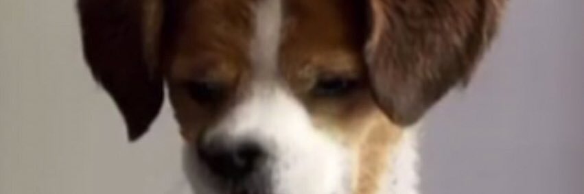 FnKylle's profile banner image