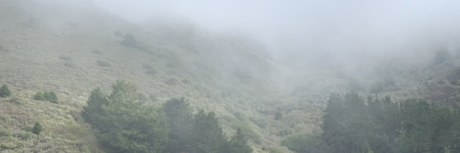 secforall's profile banner image