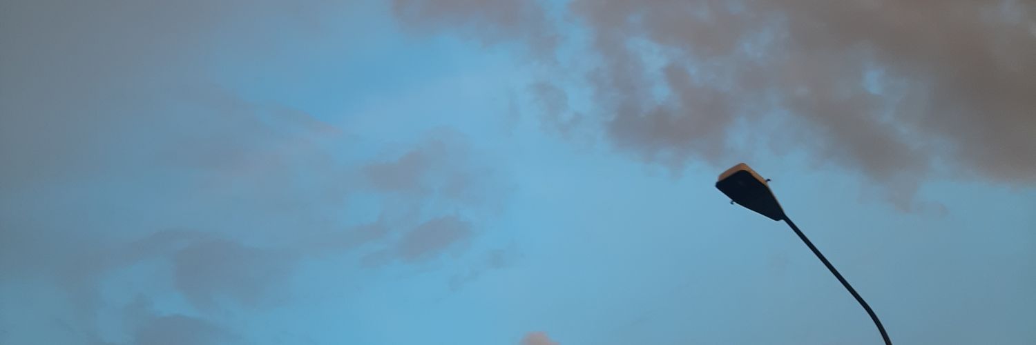 regaLLL__'s profile banner image