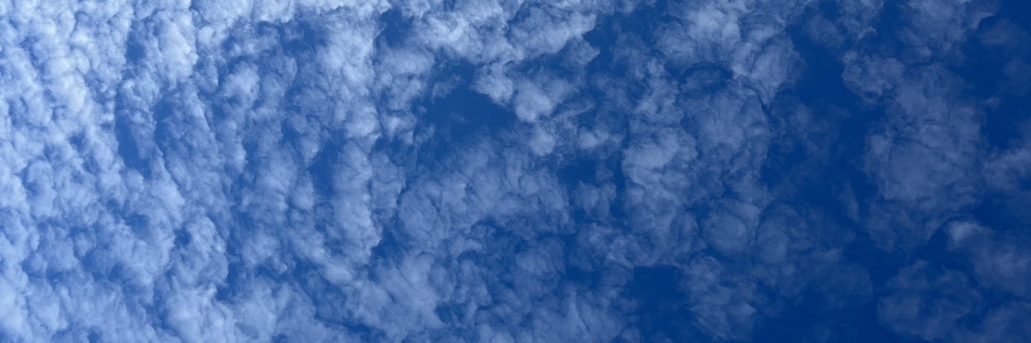 libobosta's profile banner image