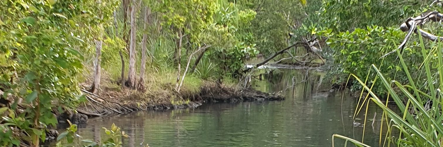 Joshua Gaschk banner