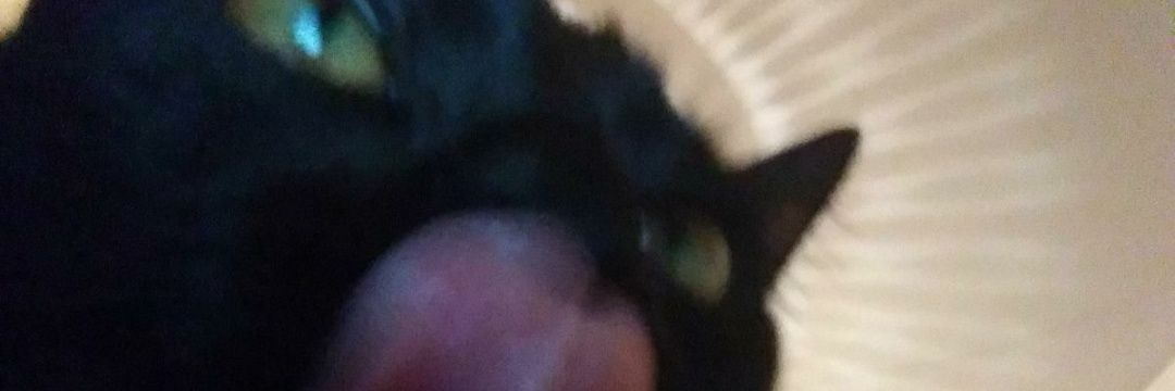 MariaLindemannV's profile banner image