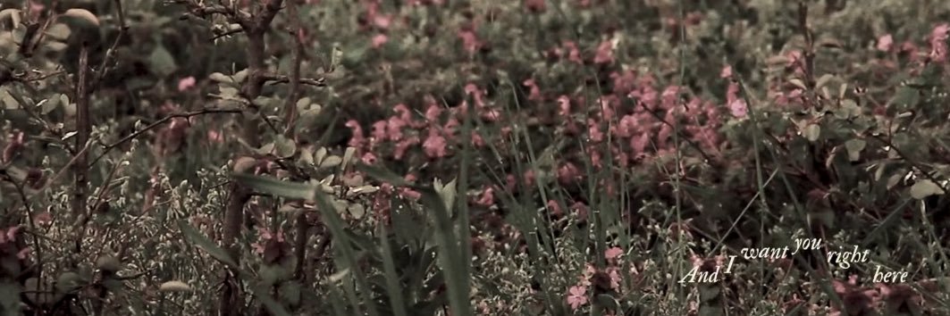 v 💓🦦🌼 banner