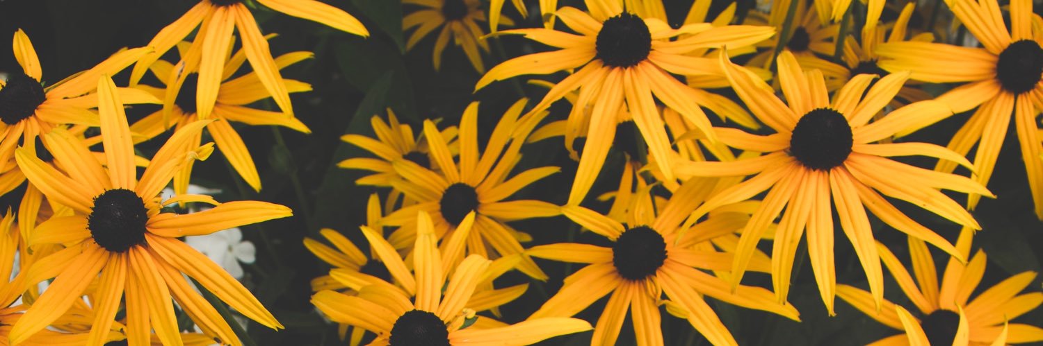 micaregina's profile banner image