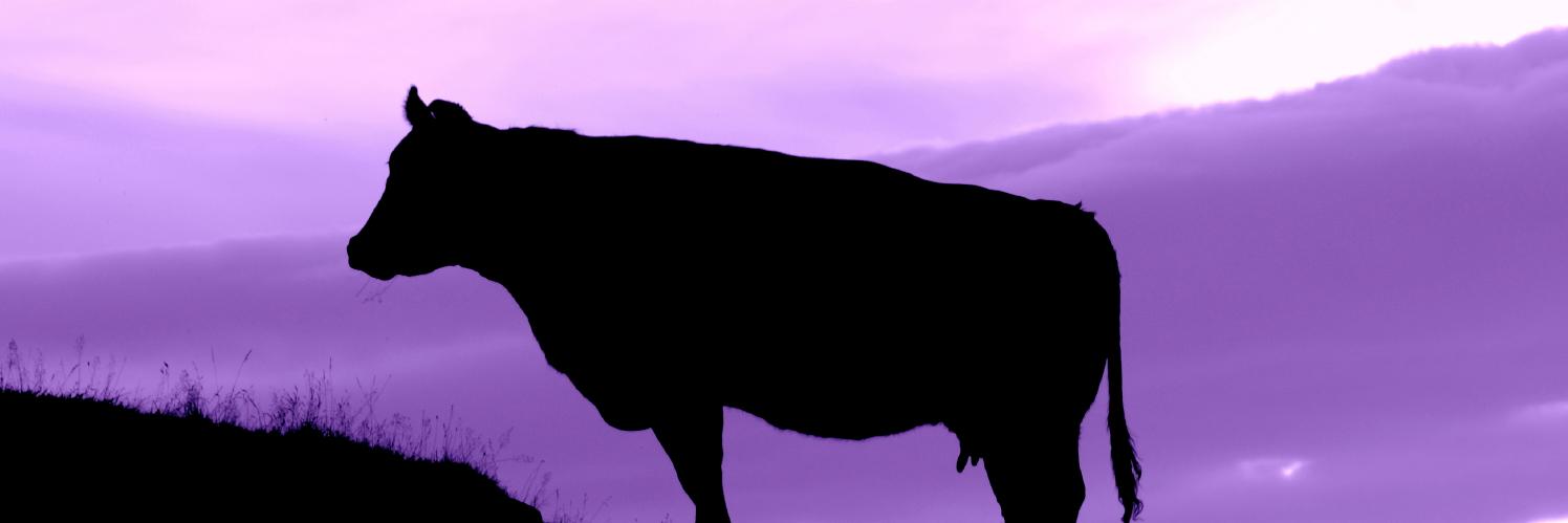 mj_preston's profile banner image