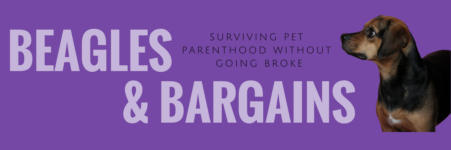 Beagles & Bargains banner