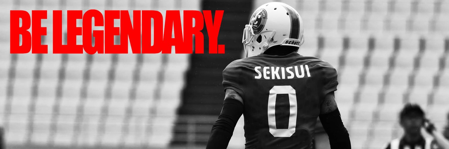 SEKISUIチャレンジャーズ banner