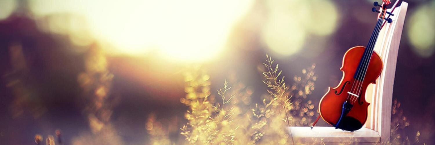 情感絮语. banner