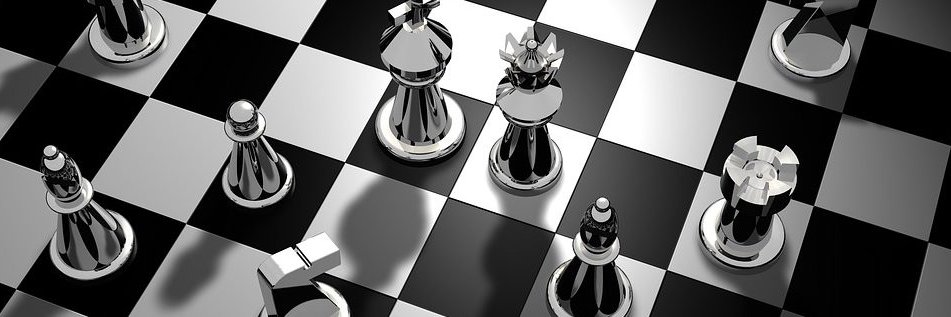Chess MMA banner