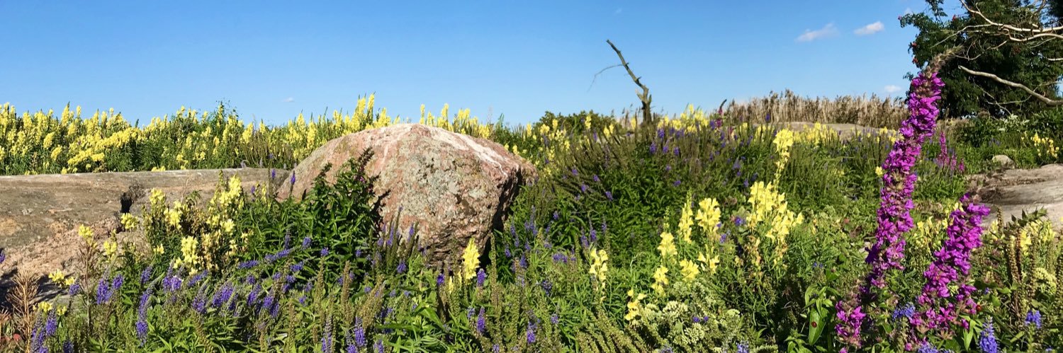 Pihla Kivistö banner