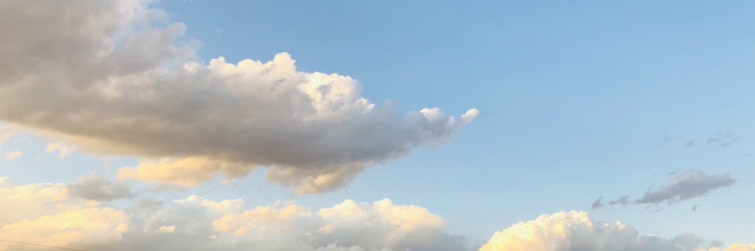 beavis banner