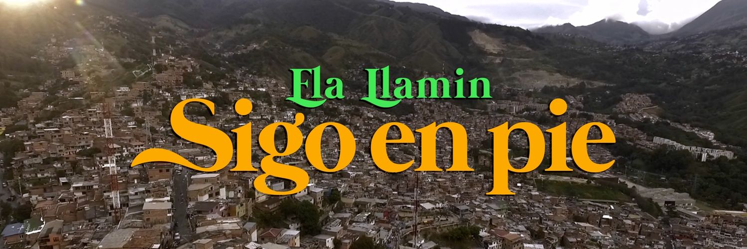 ElaLlamin's profile banner image