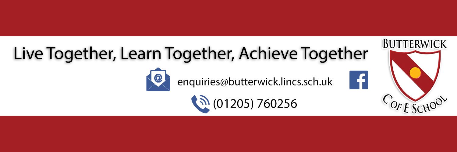 Butterwick Primary School banner