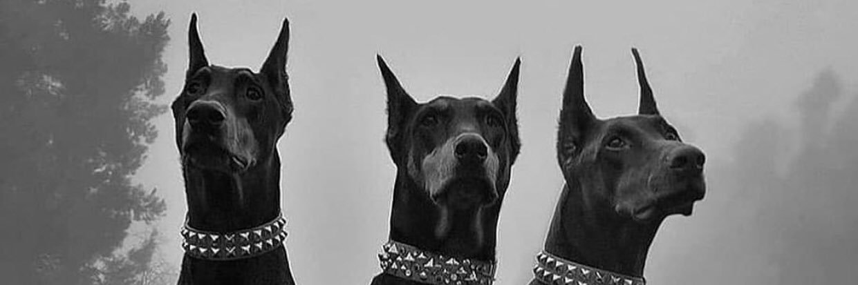 OneNeyli's profile banner image
